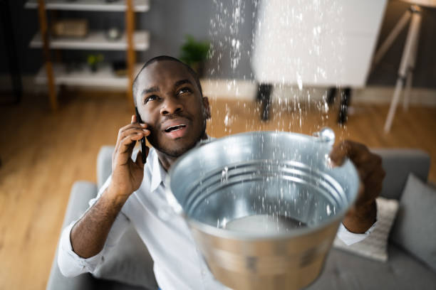 Best Mold removal after water damage  in Byesville, OH