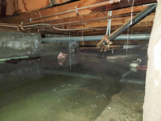 Best Flooded house restoration  in Byesville, OH