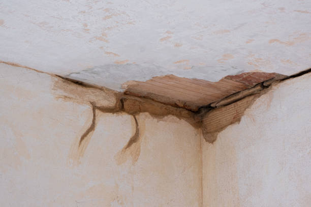 Best Sewage cleanup and water damage restoration  in Byesville, OH