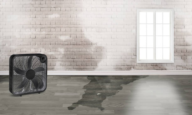 , OH Water damage restoration Company