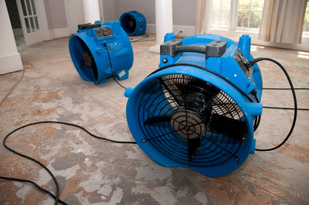 Best Commercial water damage restoration  in Byesville, OH