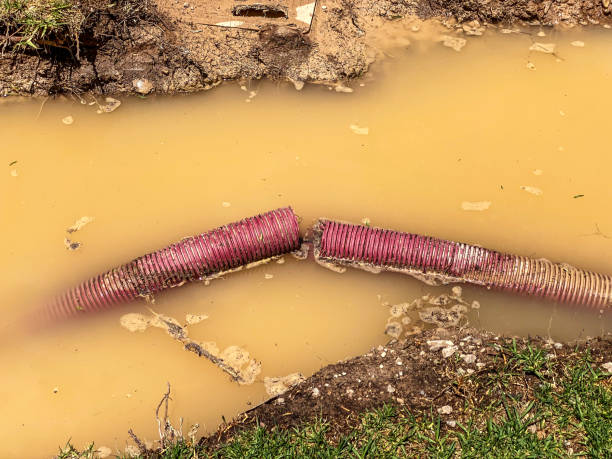 Best Water damage restoration services  in Byesville, OH
